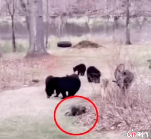 主城低密墅區 躺贏 式產品,真難超越