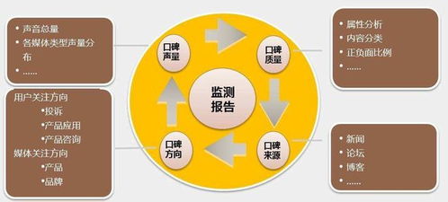 網(wǎng)絡(luò)負(fù)面輿情的演變規(guī)律與監(jiān)測(cè)預(yù)警策略及信息安全軟件開發(fā)